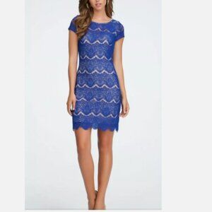 Bebe Open Back Lace Midi Dress in Cobalt Royal Blue size S
